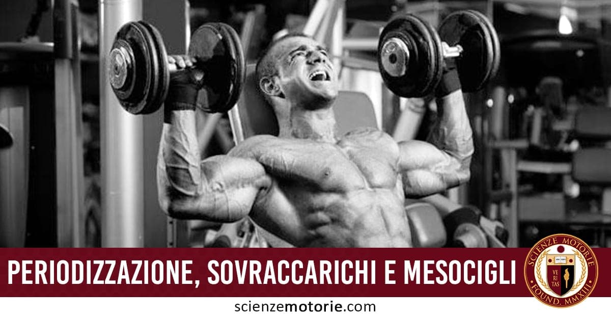 Persona muscolosa seduta su una panca che solleva manubri in palestra, immagine in bianco e nero con scritta “Periodizzazione, Sovraccarichi e Mesocicli” e logo Scienze Motorie.