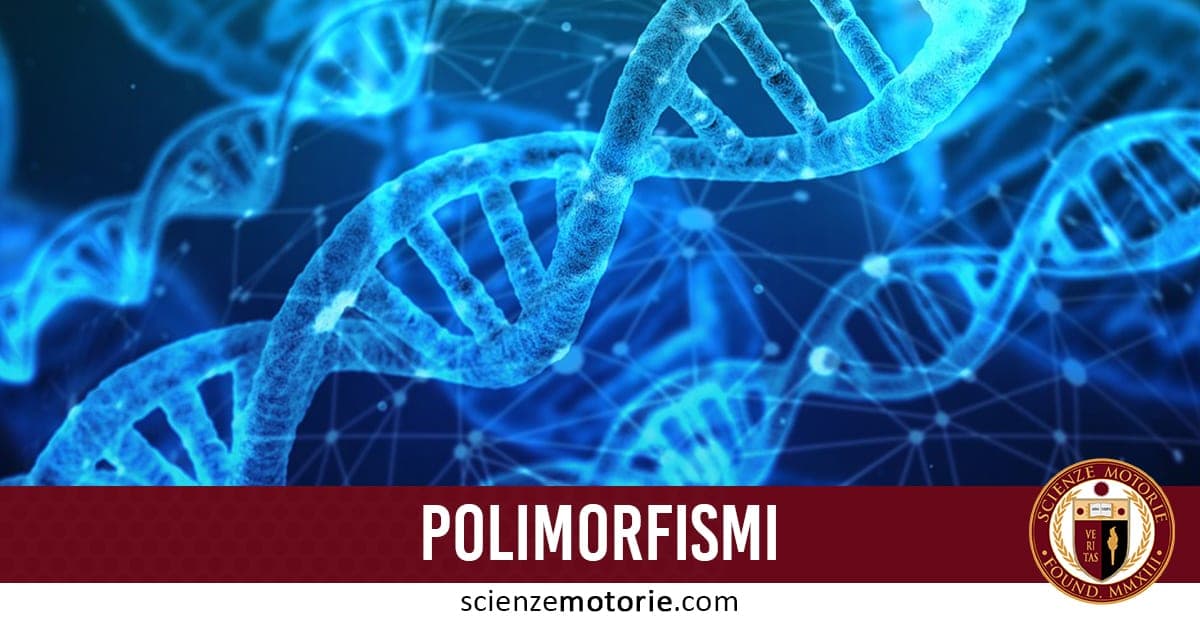 Rappresentazione stilizzata di una doppia elica di DNA blu su sfondo astratto con rete molecolare o neuronale, con scritta "POLIMORFISMI" e logo scienzemotorie.com