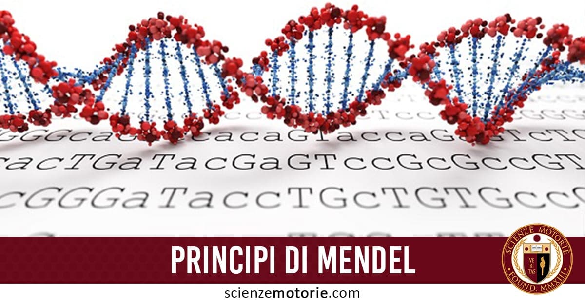 Rappresentazione della doppia elica del DNA con filamenti rossi e blu su sequenza genetica di lettere A, T, C, G; fascia rossa con scritta "PRINCIPI DI MENDEL" e logo scienzemotorie.com