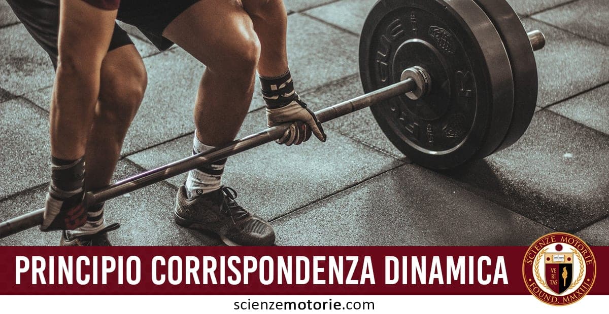L’immagine mostra una persona che solleva un bilanciere pesante in palestra, in posizione accovacciata con il bilanciere sopra la testa. Indossa guanti e scarpe sportive per garantire presa e stabilità. Lo sfondo presenta una pavimentazione da palestra. In basso appare il testo "Principio Corrispondenza Dinamica" e il logo di Scienze Motorie