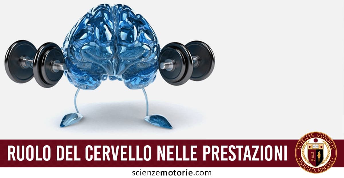 Illustrazione di un cervello stilizzato con braccia che sollevano pesi, rappresentando il ruolo del cervello nelle prestazioni sportive.