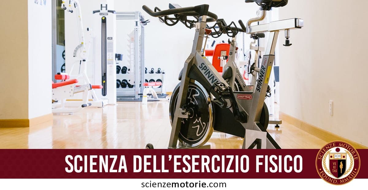 Interno di una palestra con cyclette da spinning in primo piano e attrezzature per il sollevamento pesi sullo sfondo.