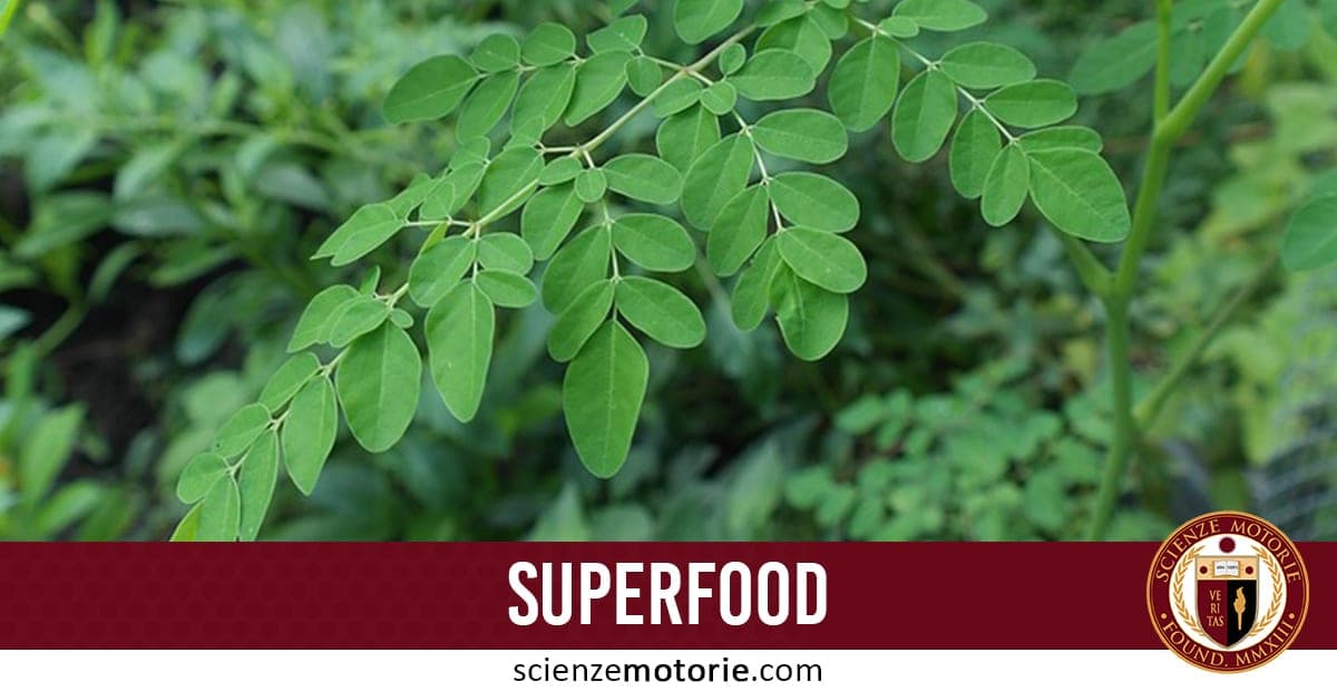 L’immagine mostra un dettaglio ravvicinato di foglie verdi, probabilmente di Moringa oleifera, con piccole foglioline ovali disposte lungo un picciolo. Lo sfondo sfocato verde scuro evoca un contesto naturale. In basso, una barra bordeaux con la scritta "SUPERFOOD" e il logo di scienzemotorie.com