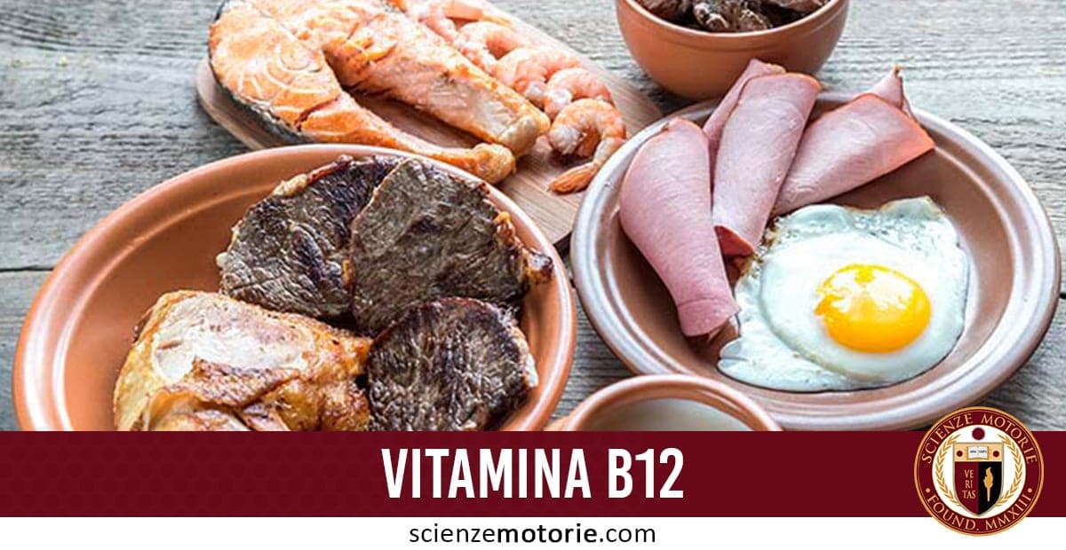 Varietà di alimenti ricchi di vitamina B12: salmone, carne di manzo, gamberetti, uova al tegamino e prosciutto, disposti su piatti. Testo in basso: "VITAMINA B12" e logo "scienzemotorie.com".