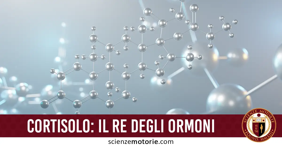 L'immagine mostra una rappresentazione stilizzata della struttura molecolare del cortisolo, con delle sfere collegate tra loro, un formato comune per visualizzare strutture chimiche. In basso, c'è una barra rossa con il testo bianco "CORTISOLO: IL RE DEGLI ORMONI", indicando il focus sul ruolo fondamentale del cortisolo nel corpo umano. Sotto il testo, è visibile il logo di scienzemotorie.com