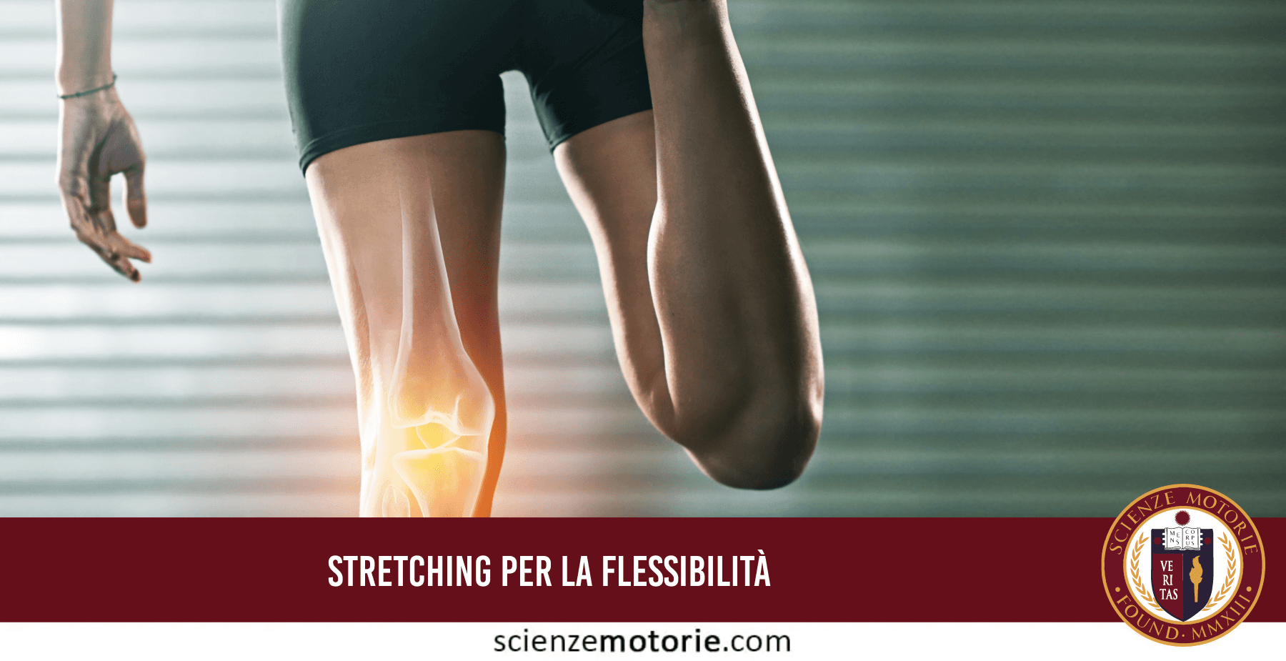 Stretching per la flessibilità