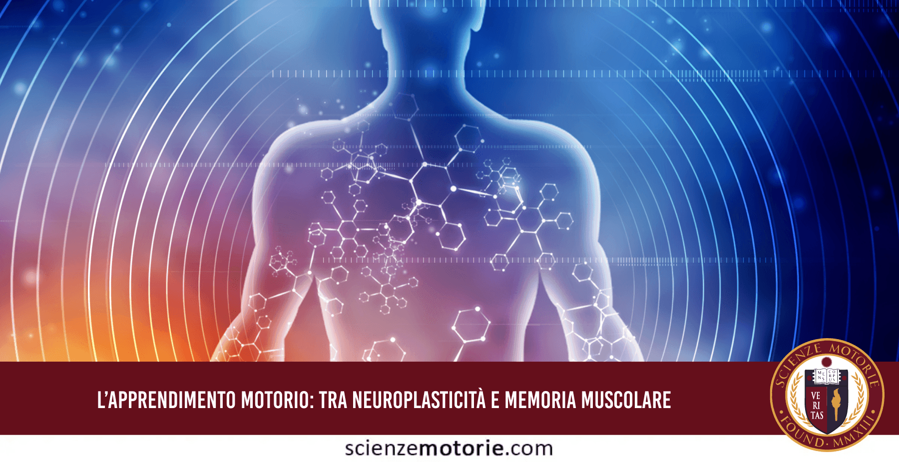 Rappresentazione della neuroplasticità e del consolidamento della memoria procedurale nell'apprendimento di un gesto tecnico sportivo.