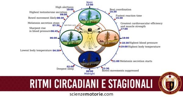 ritmi circadiani e stagionali