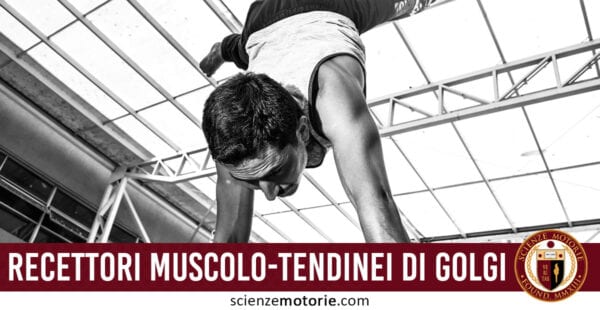 Recettori muscolo-tendinei di Golgi