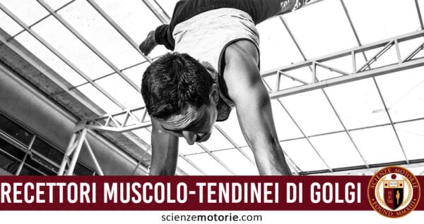 Recettori muscolo-tendinei di Golgi