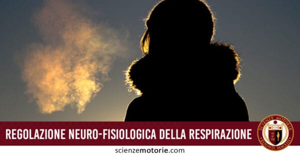 Regolazione neuro-fisiologica della respirazione