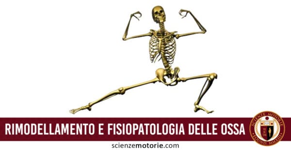 Rimodellamento e Fisiopatologia delle ossa