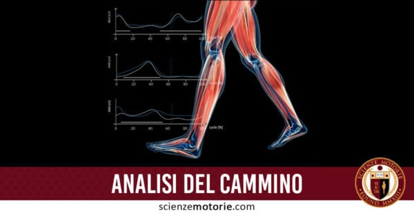 analisi del cammino