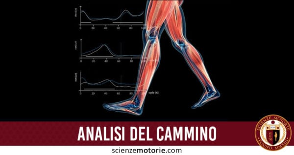 analisi del cammino