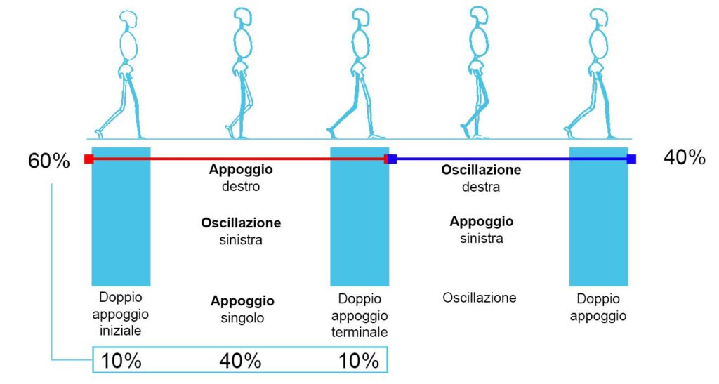 grafico del cammino