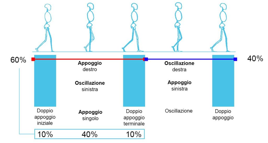 grafico del cammino