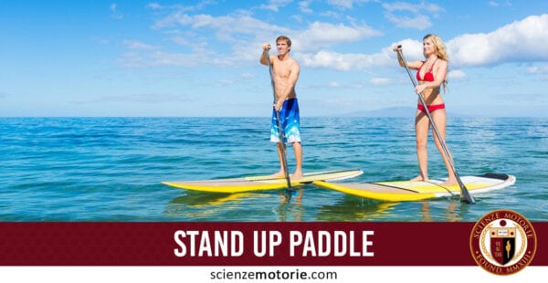 stand up paddle