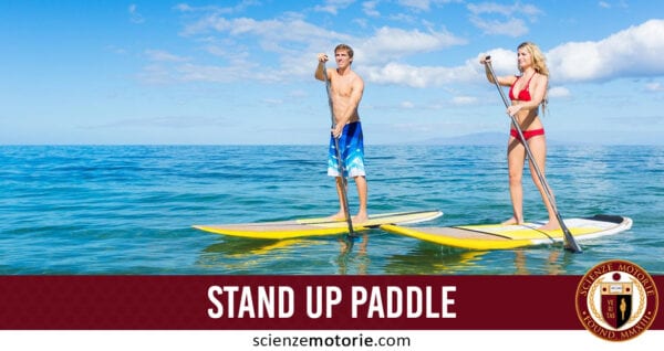 stand up paddle