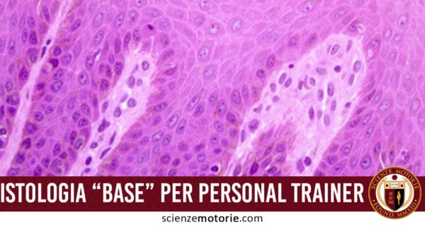 istologia base personal trainer