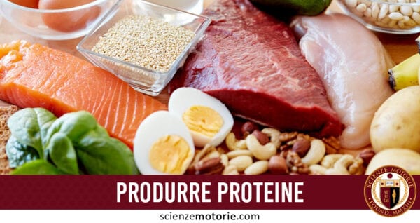 produrre proteine
