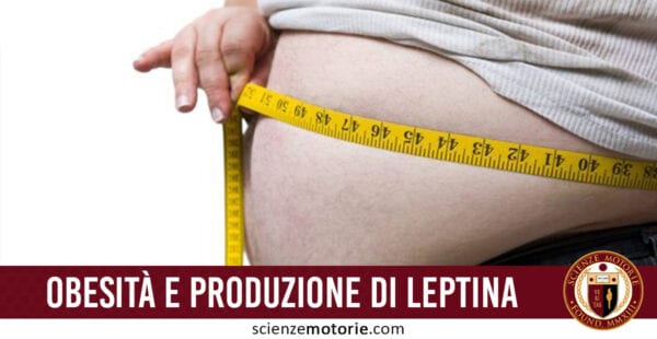 obesità e produzione leptina