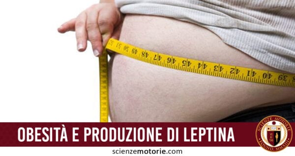 obesità e produzione leptina