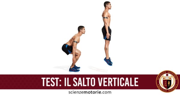 https://www.scienzemotorie.com/nuovo/wp-content/uploads/2018/04/salto-verticale.jpg