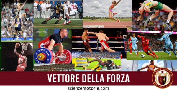 vettore della forza