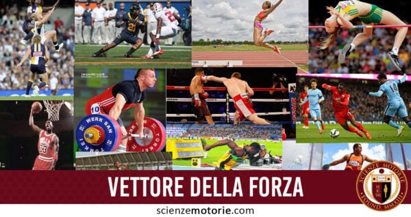 vettore della forza