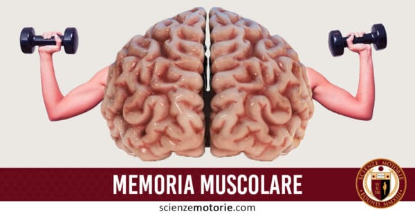 memoria muscolare