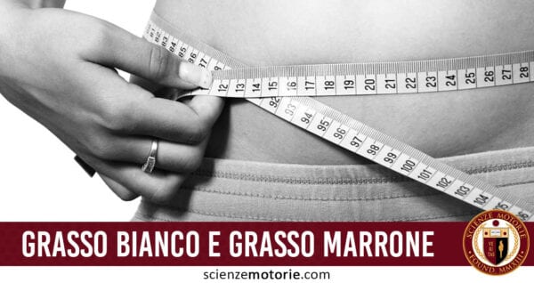 grasso bianco grasso marrone