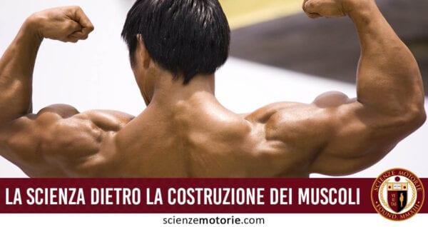 scienza dietro la costruzione dei muscoli