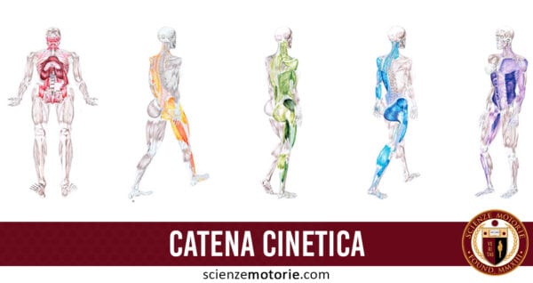 catena cinetica