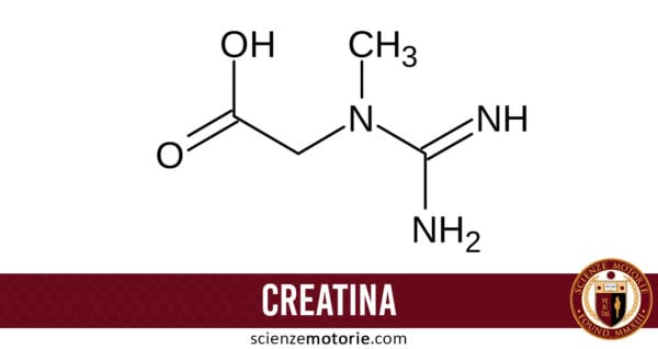 creatina