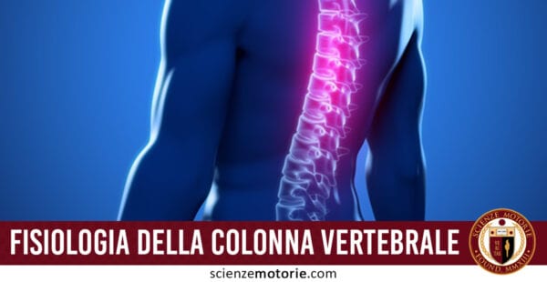 fisiologia colonna vertebrale