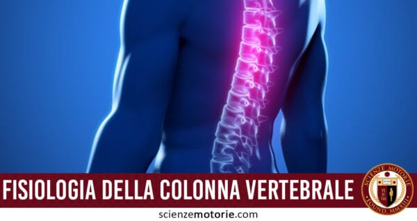 fisiologia colonna vertebrale