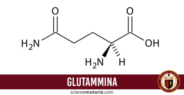 glutammina