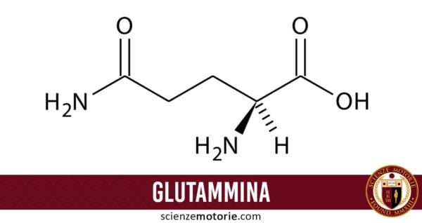 glutammina