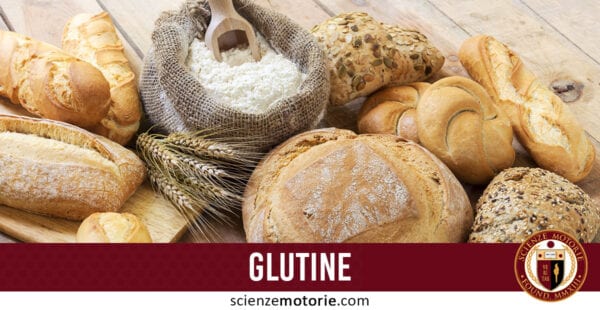 glutine