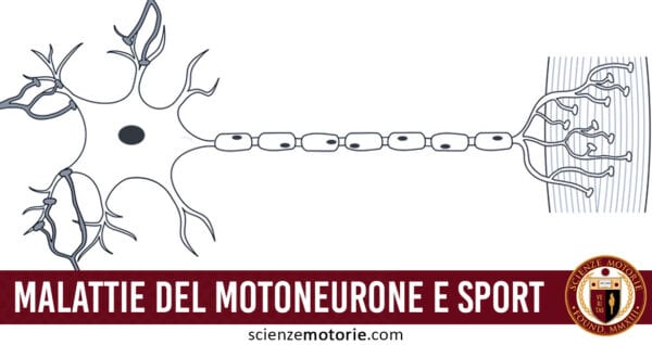 motoneurone e sport