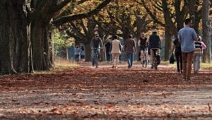 Camminare: l'esercizio più semplice che fa bene a tutti