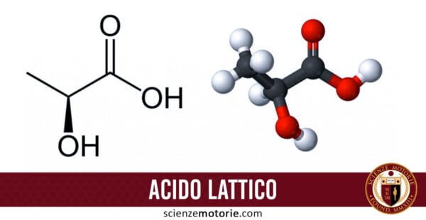 acido lattico