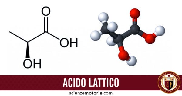 acido lattico