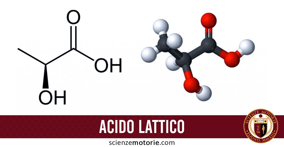 Acido Lattico: cos'è e come ridurlo > Scienze Motorie