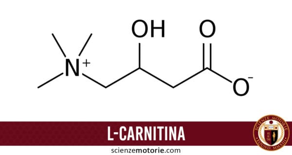 l-carnitina