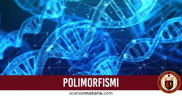 Polimorfismi