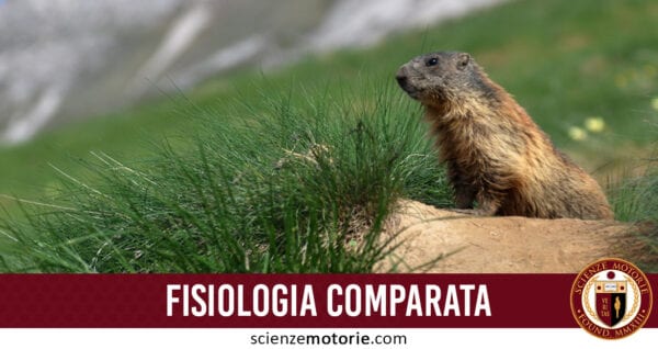 fisiologia comparata