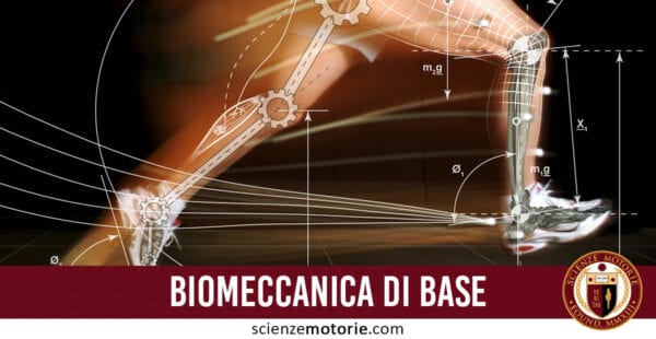biomeccanica di base
