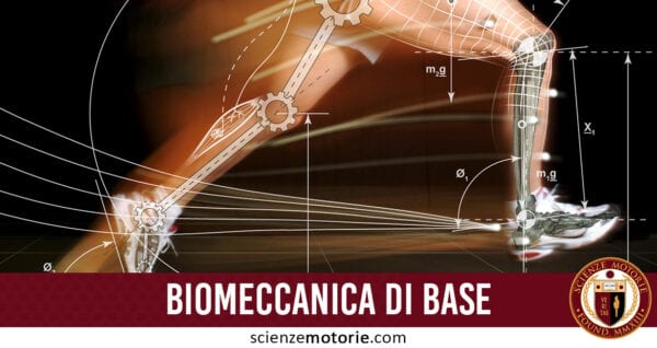 biomeccanica di base