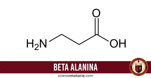 Beta Alanina